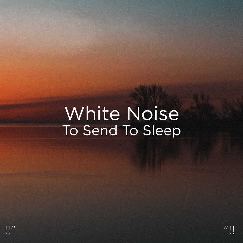 Study White Noise