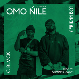 Album Stubborn (Omo Ǹile) (Original) (Explicit) from Afrikan Boy