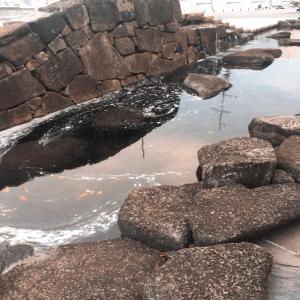 ดาวน์โหลดและฟังเพลง fallen พร้อมเนื้อเพลงจาก mojojazu