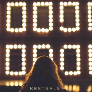 ดาวน์โหลดและฟังเพลง Ace พร้อมเนื้อเพลงจาก Kestrels