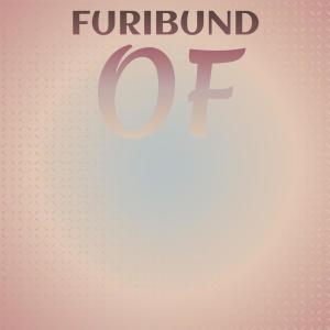 Various的专辑Furibund Of