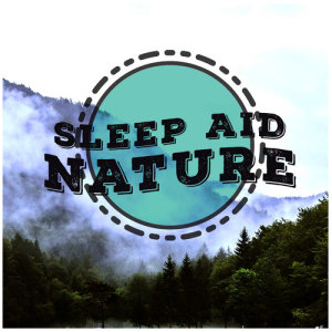 ดาวน์โหลดและฟังเพลง A Bird Chorus พร้อมเนื้อเพลงจาก Nature Sounds