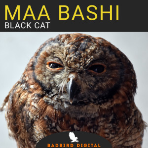 收聽Maa Bashi的Drunk Cat歌詞歌曲
