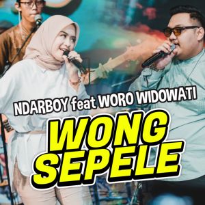 Album Wong Sepele from Ndarboy Genk
