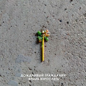 Album Время взрослеть from Дождливый Гражданин