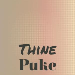 อัลบัม Thine Puke ศิลปิน Various