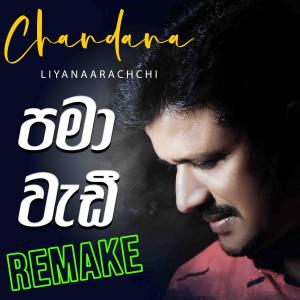 Album Pama Wadi (Remake) from 
