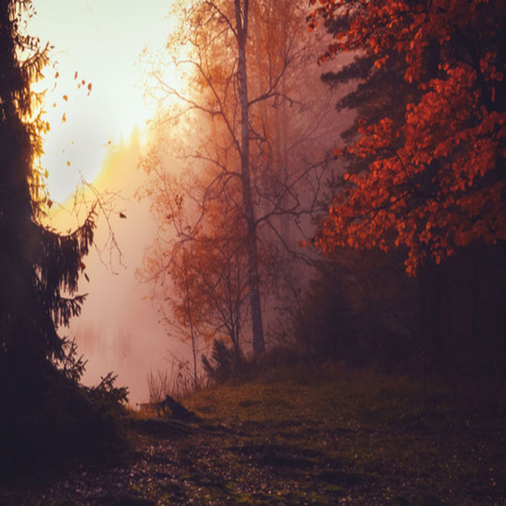 Fall Again (Explicit)