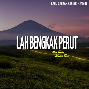 Listen to Lah Bengkak Perut song with lyrics from Mak Udin