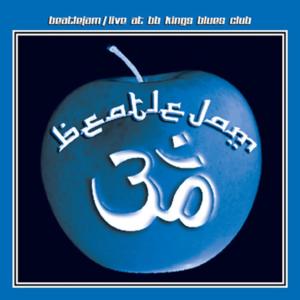 ดาวน์โหลดและฟังเพลง Elenor Rigby พร้อมเนื้อเพลงจาก Beatlejam