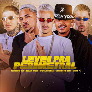 Trovão no Beat的專輯Levei pra Perimetral (Explicit)