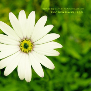 收聽韓國羣星的꽃무릇 (이루어질 수 없는 사랑) The Flower Bowl (Love That Can Not Be Done)歌詞歌曲