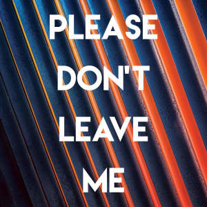 Listen to Please Don't Leave Me song with lyrics from Sassydee