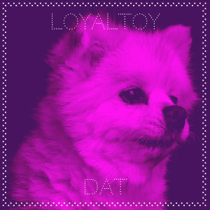 Album Loyaltoy from DAT