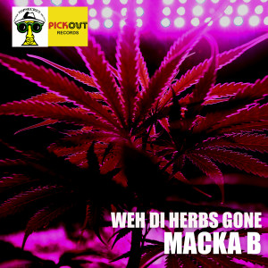 Album Weh Di Herbs Gone from Macka B