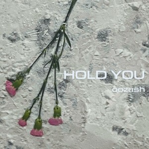 Album Hold you from 