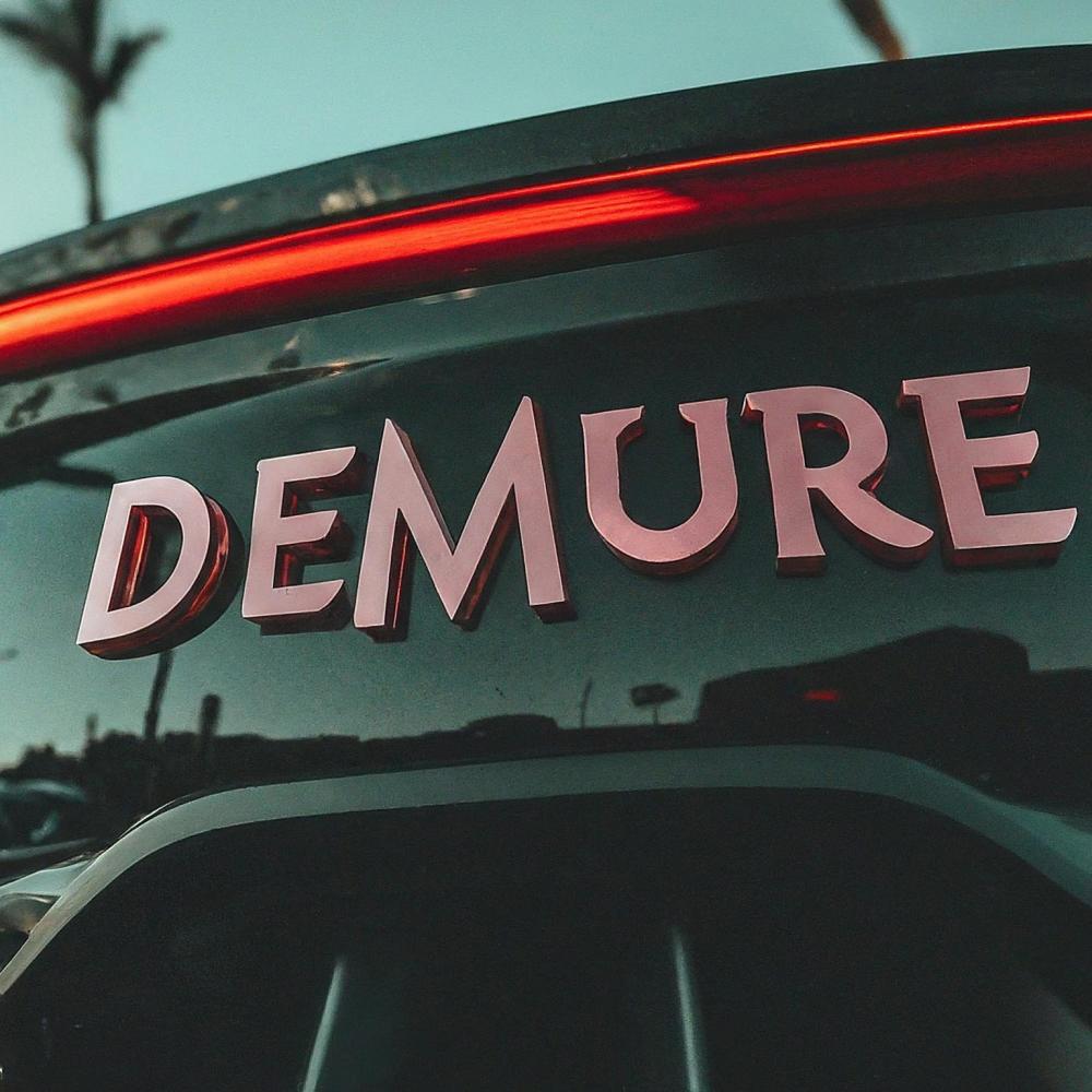 DEMURE (INSTRUMENTAL)