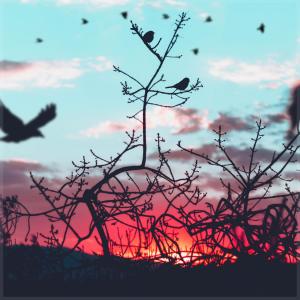 Listen to Up Above song with lyrics from Dimatis