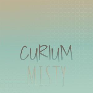 Various Artists的專輯Curium Misty