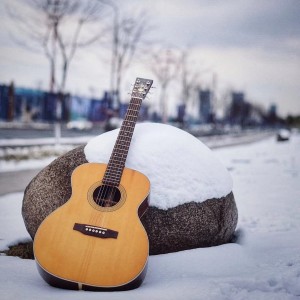 黃順的專輯Christmas snowflakes