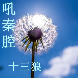 Listen to 老爸 song with lyrics from 十三狼