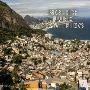 Anonymous Beats的專輯Molho Funk Brasileiro (Remix) (Explicit)