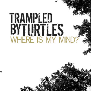 收听Trampled By Turtles的Where Is My Mind?歌词歌曲