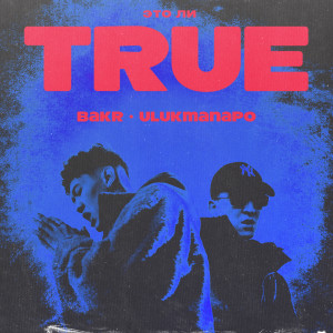 Listen to TRUE (Explicit) song with lyrics from Bakr