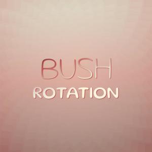 Various Artists的專輯Bush Rotation