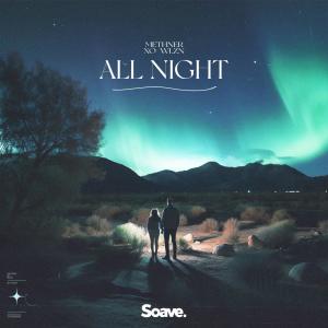 Album All Night from Methner