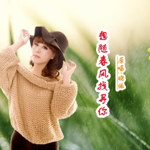 Album 想随春风找寻你 oleh 何仙子
