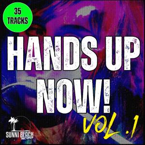 ดาวน์โหลดและฟังเพลง You're Not the First One (Danceboy Remix) พร้อมเนื้อเพลงจาก SolidShark