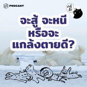 อัลบัม EP.482 จะสู้ จะหนี หรือจะแกล้งตายดี  Fight, Flight, or Freeze ศิลปิน คำนี้ดี [THE STANDARD PODCAST]