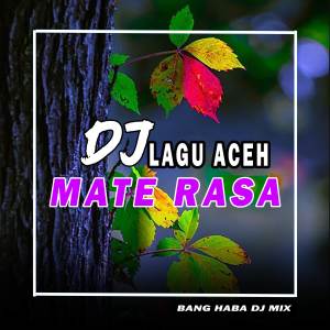 收聽Bang Haba DJ的DJ Mate Rasa (Remix Aceh)歌詞歌曲