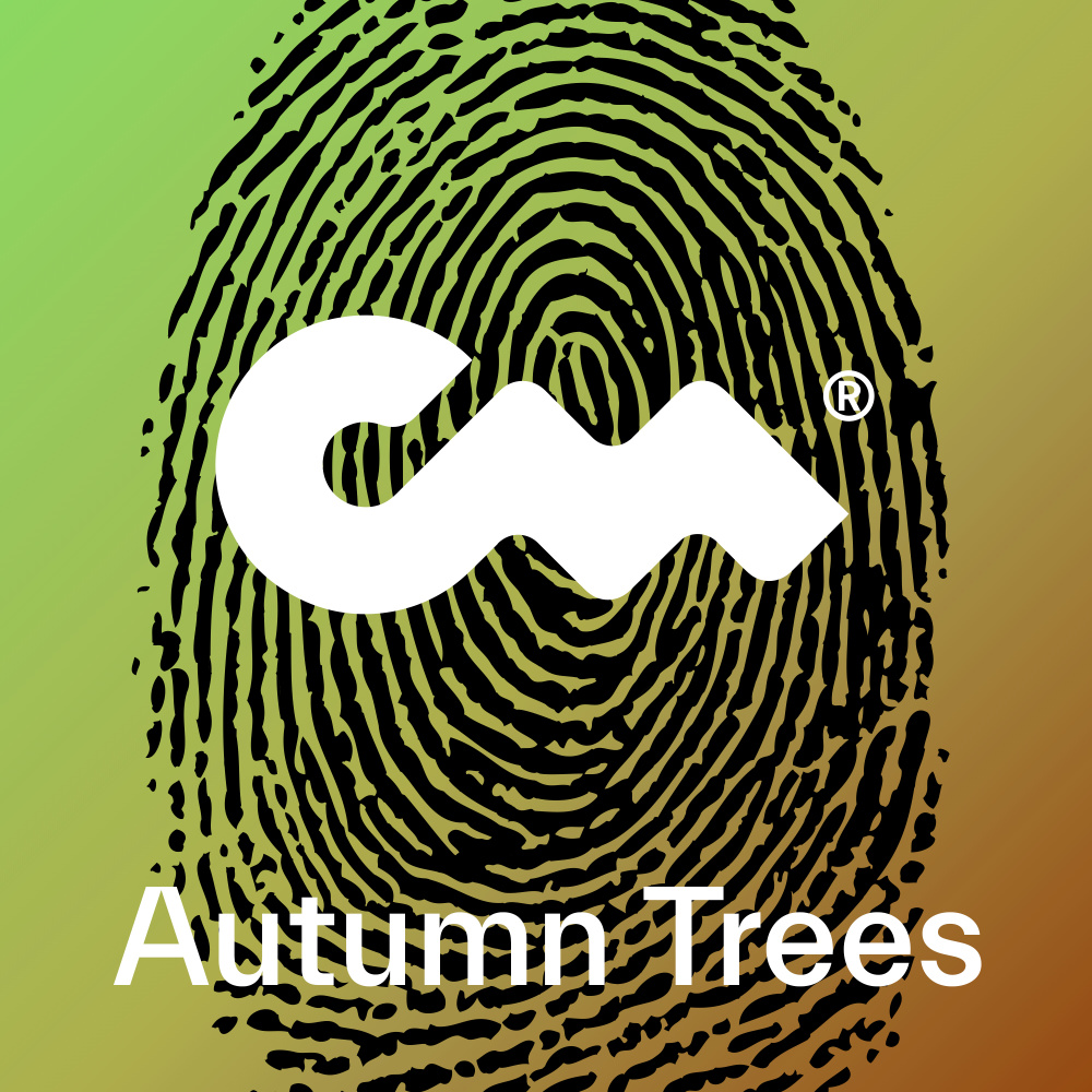 Autumn Trees