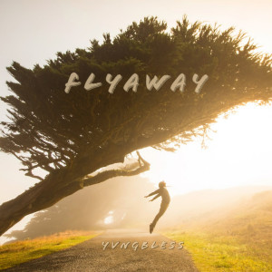 Album Flyaway from yvngbless