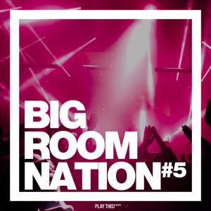 Various Artists的专辑Big Room Nation, Vol. 5