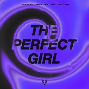 收聽TEKKCAT的The Perfect Girl (HardTekk)歌詞歌曲