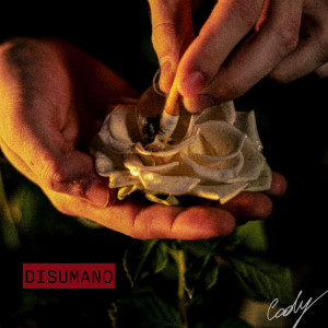 Listen to Disumano song with lyrics from Cody