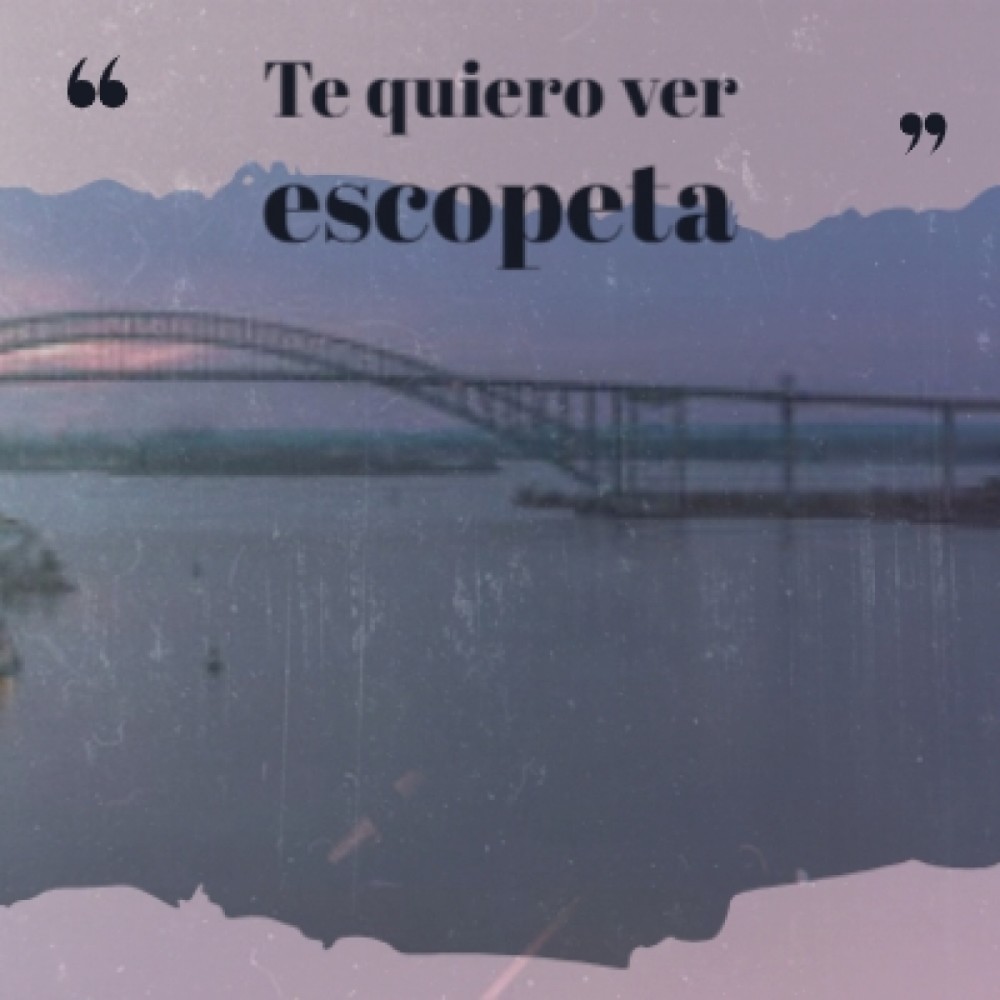Los Piconeros