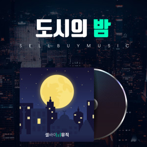收聽셀바이뮤직 Sellbuymusic的늦은 밤 Late Night歌詞歌曲