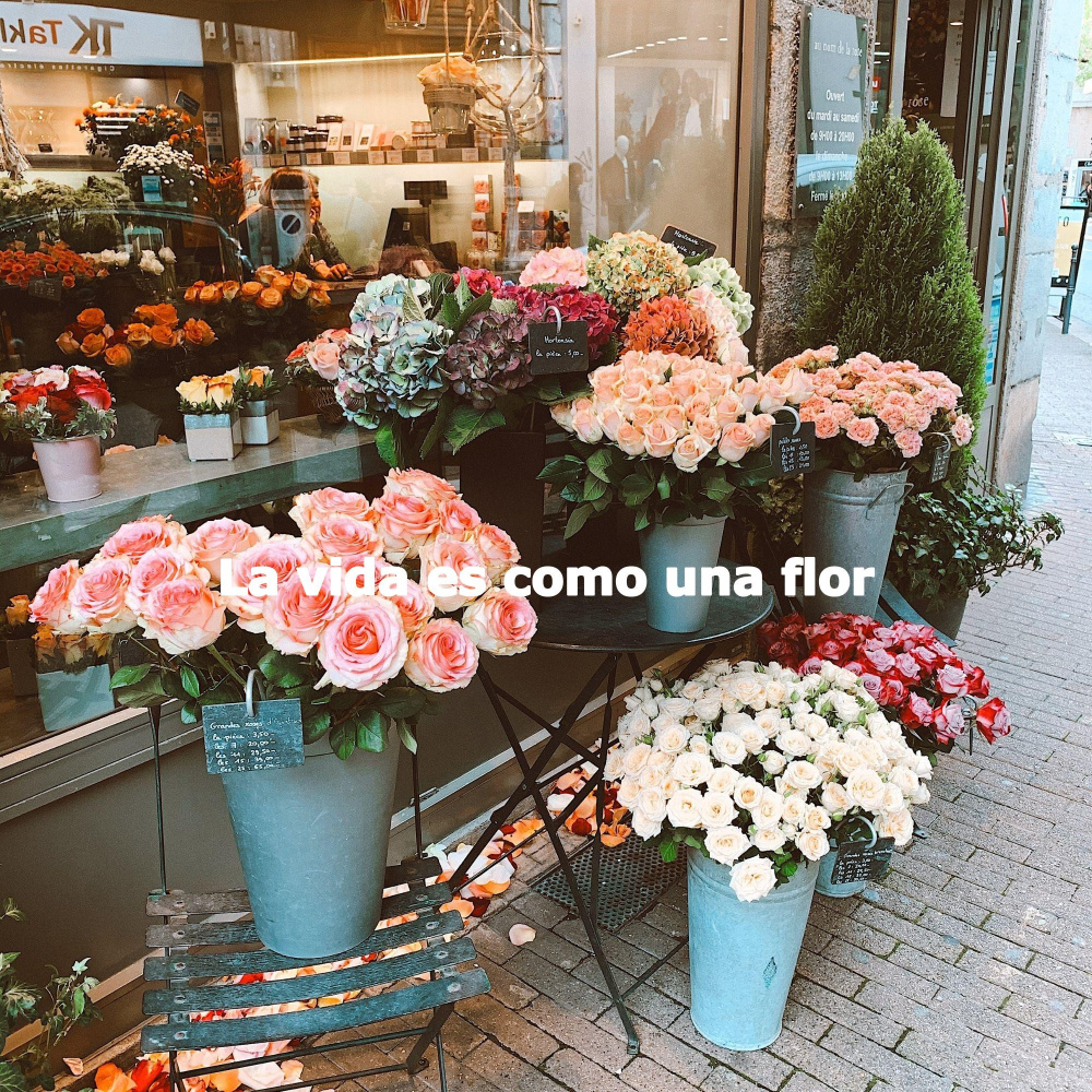 Vintage Ambiance for Enchanting Afternoons