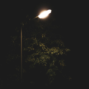 Listen to Late Night! song with lyrics from TilParadise