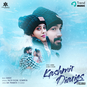 Album Kashmir Diaries from Yazin Nizar