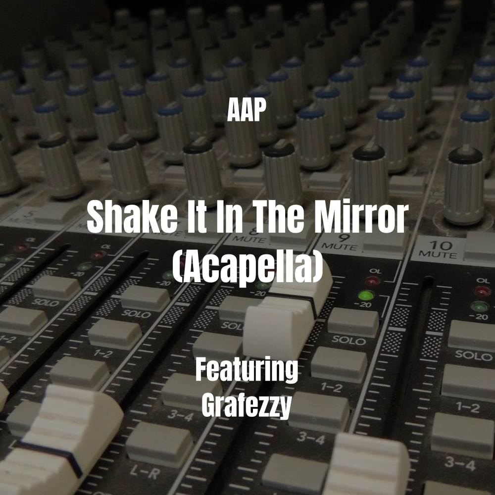 Shake It In The Mirror (Acapella|Explicit)