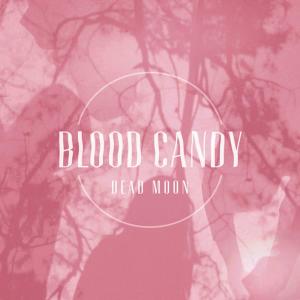 ดาวน์โหลดและฟังเพลง Starcrush พร้อมเนื้อเพลงจาก Blood Candy