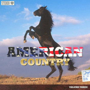 ดาวน์โหลดและฟังเพลง A Castle in the Sky พร้อมเนื้อเพลงจาก Marty Robbins