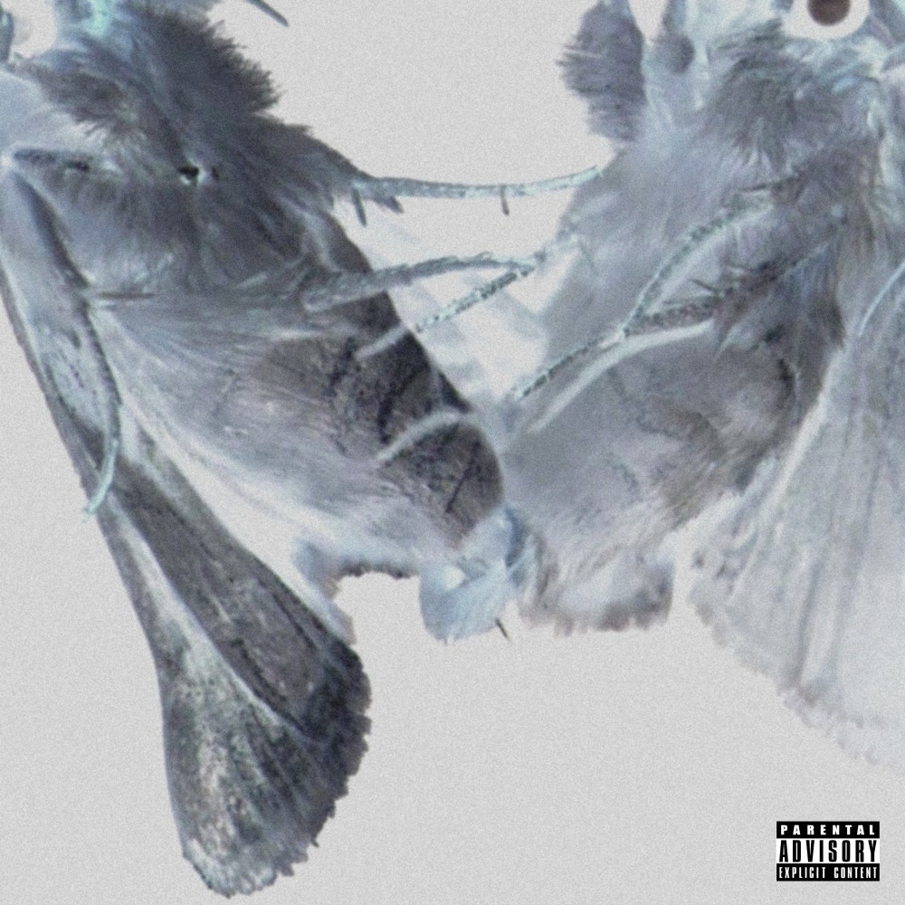 We.ing (Explicit)