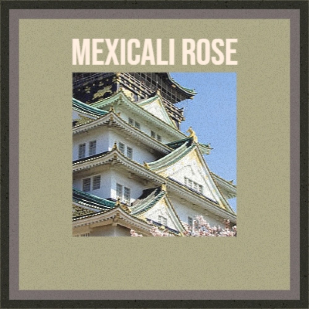 Mexicali Rose