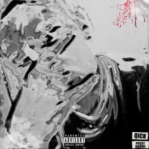 Album Pussy (Remix) from Qick